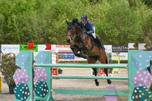 Équitation : comment choisir l&rsquo;équipement ?