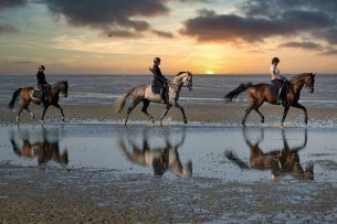 Peut-on monter n&rsquo;importe quel cheval ?
