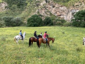 Cavalier·ères à cheval dans une prairie fleurie au pied de rochers calcaires