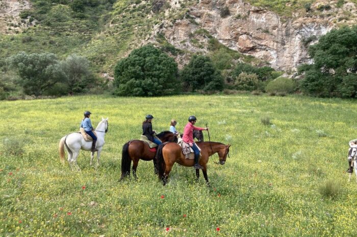 Cavalier·ères à cheval dans une prairie fleurie au pied de rochers calcaires