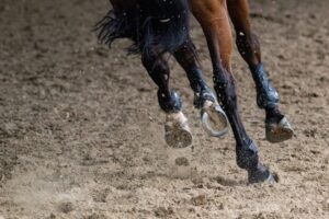 Gros plan sur les membres d’un cheval en mouvement sur un sol sablonneux