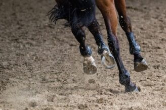 Gros plan sur les membres d’un cheval en mouvement sur un sol sablonneux